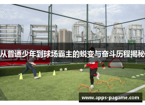 从普通少年到球场霸主的蜕变与奋斗历程揭秘