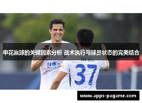 申花赢球的关键因素分析 战术执行与球员状态的完美结合 申花赢球的关键因素分析 战术执行与球员状态的完美结合