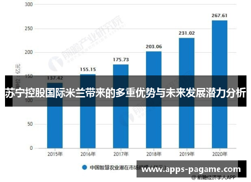 苏宁控股国际米兰带来的多重优势与未来发展潜力分析 苏宁控股国际米兰带来的多重优势与未来发展潜力分析