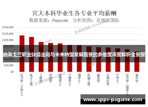 纳英戈兰职业抉择走向与未来转型发展前景的多维度深度解析全景探