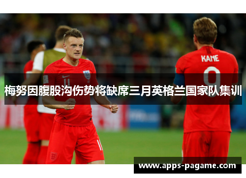 梅努因腹股沟伤势将缺席三月英格兰国家队集训