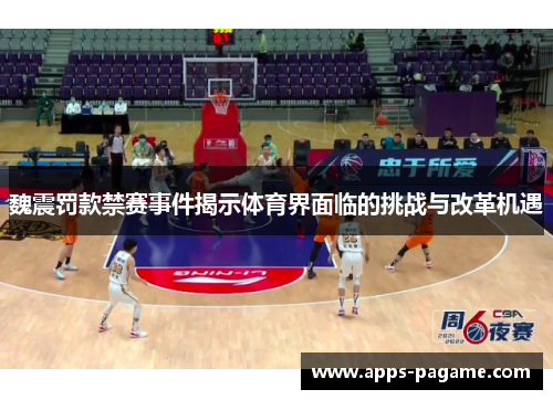 魏震罚款禁赛事件揭示体育界面临的挑战与改革机遇
