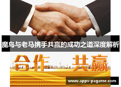 魔鸟与老马携手共赢的成功之道深度解析